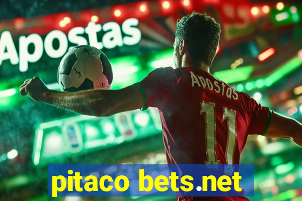 pitaco bets.net